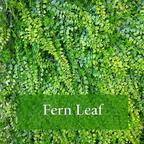 Fern Leaf