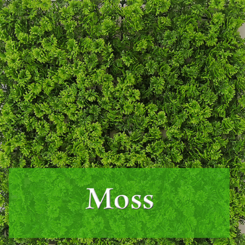 Moss