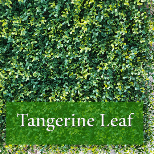 Tangerine Leaf