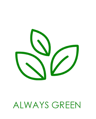 Always-green-2