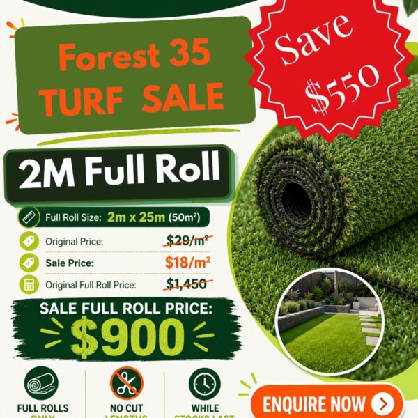 Forest35