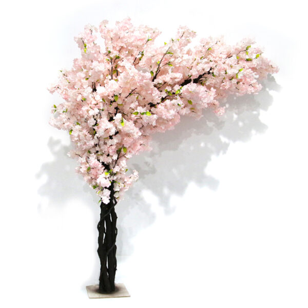 Cherry blossom tree