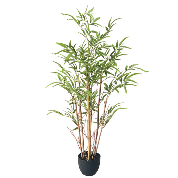 Bamboo tree