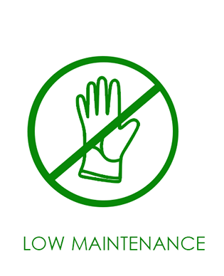 Low-Maintainence-2