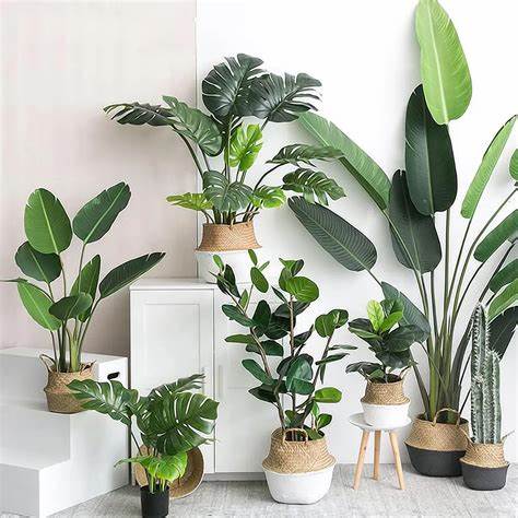 Potted Plants V2