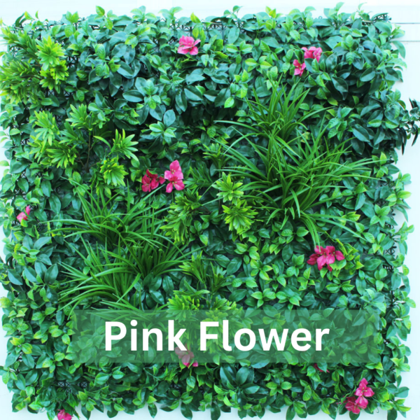 Mixed Pink Rose