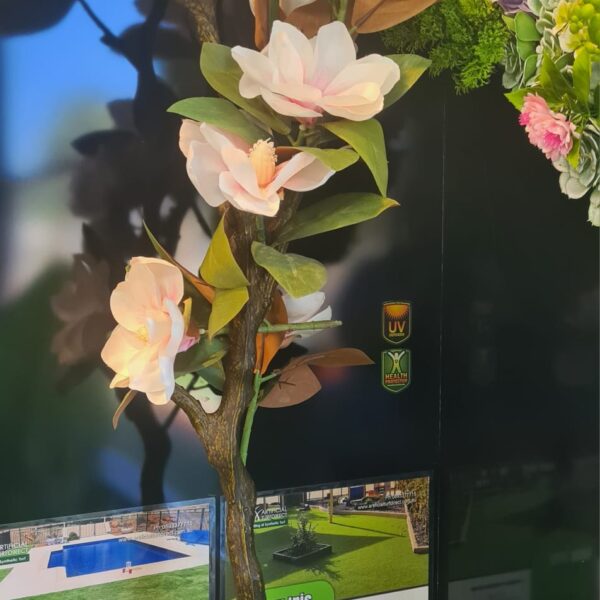 Magnolia