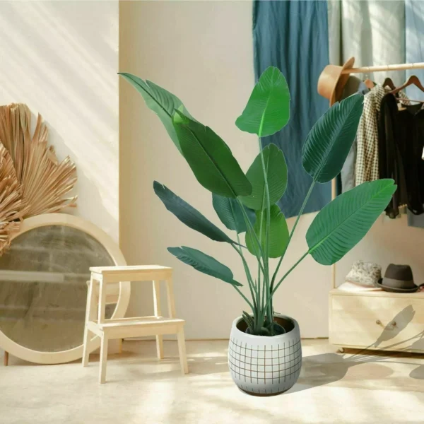 Potted Plants V3